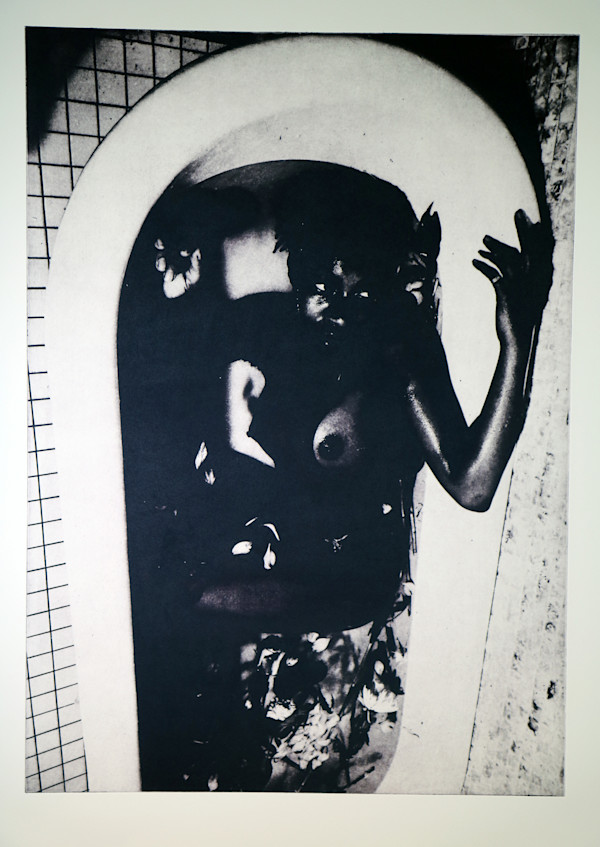 Ophelia Rising: Fear by Sophie Sanders, Image 1.