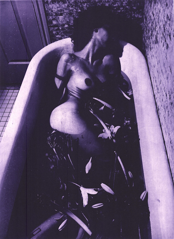 Ophelia Rising: Recover by Sophie Sanders, Image 1.