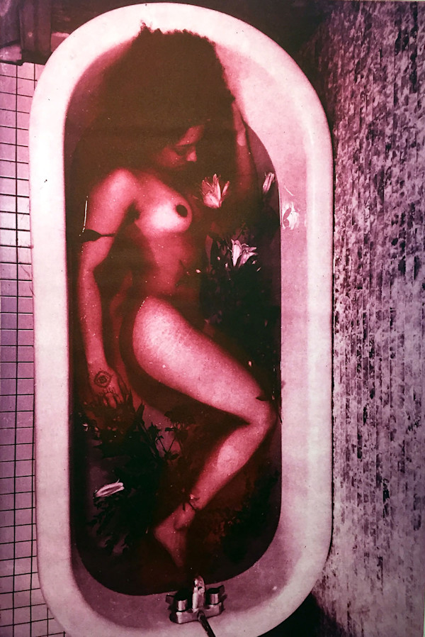 Ophelia Rising: Fortify by Sophie Sanders, Image 1.