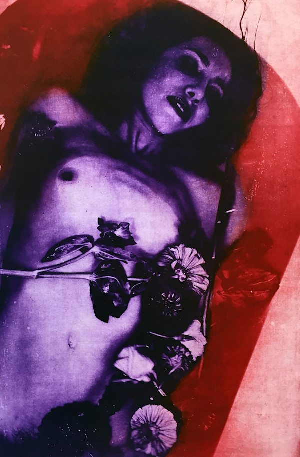 Ophelia Rising: Abide by Sophie Sanders, Image 1.