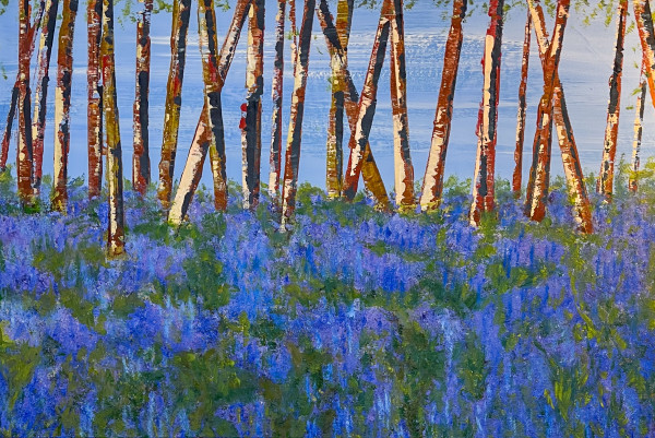 Bluebells, Kent by Stephanie Fuller