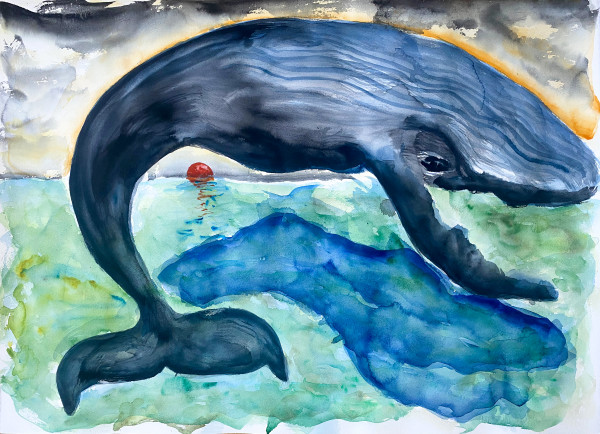 Whale Sunrise by Stephanie Fuller