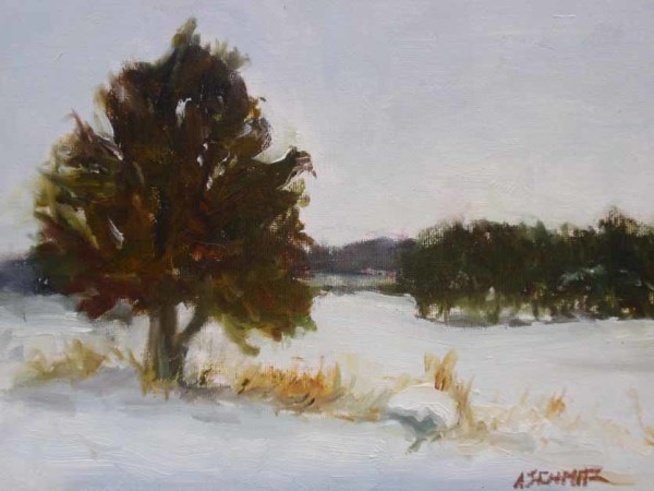 Lone Cedar in Snow by Alecia Schmitz