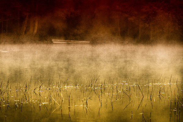 Morning by Ellen Friedlander, Image 1.