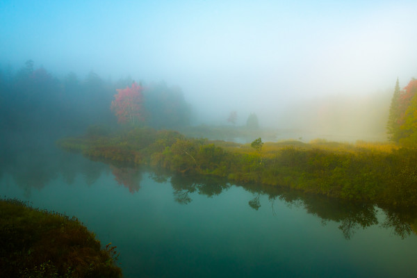 Meditations in Blue by Ellen Friedlander, Image 1.