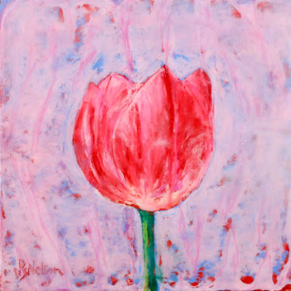 Single Pink Tulip by PS Nelson