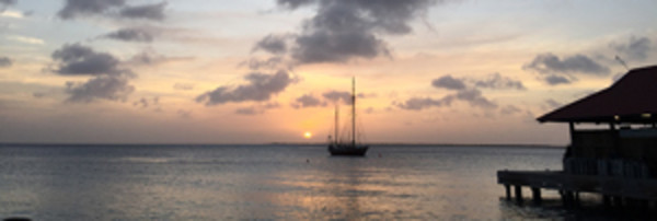 When the Sun Goes Down by Daniella Cippitelli