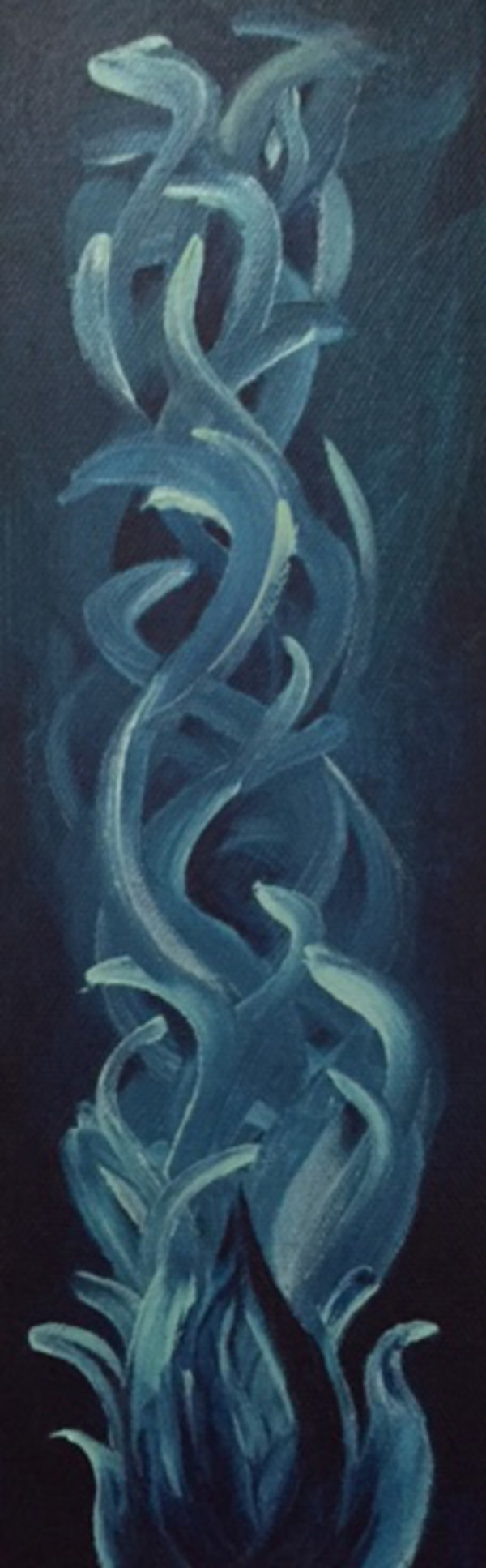 Eel Garden by Daniella Cippitelli