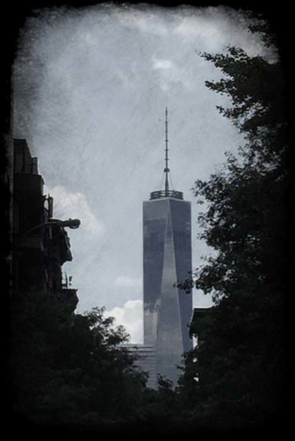 Standing Tall by Daniella Cippitelli