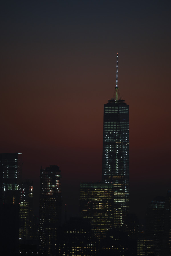 Freedom Strong by Daniella Cippitelli