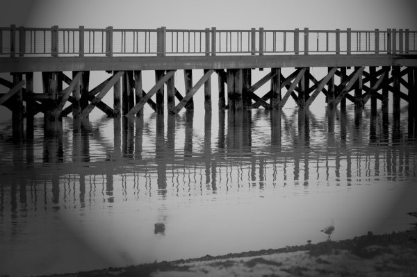 Ghost Bridge by Daniella Cippitelli