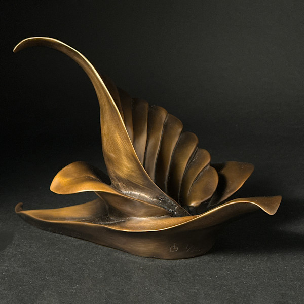 Continuum 3 by Lynn Dodge