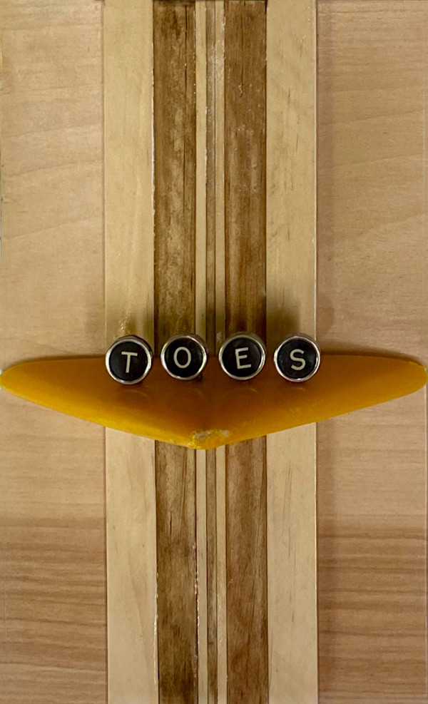 Toes on the Nose by Lynn Dodge