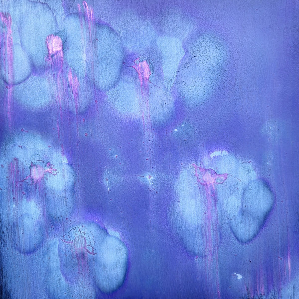 Cenizas de Rosas by Alison P Darrow