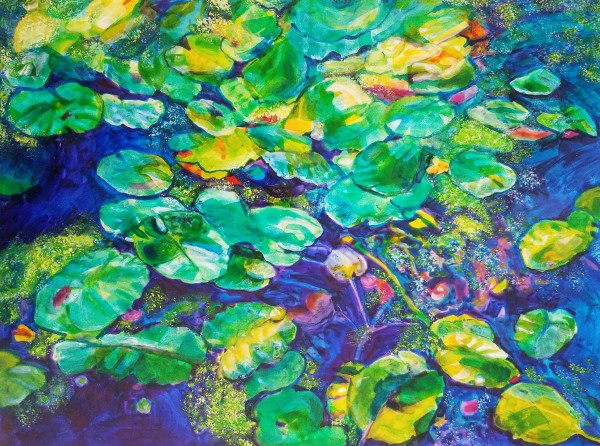 Water Lilies by Alison P Darrow, Image 1.