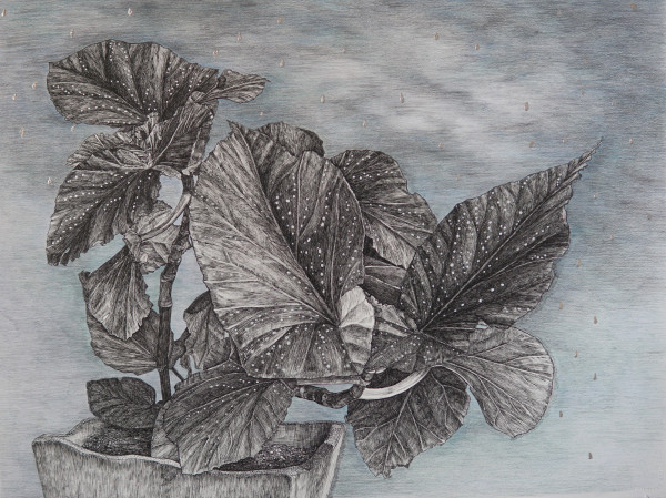 After the rain by Chinatsu Seya