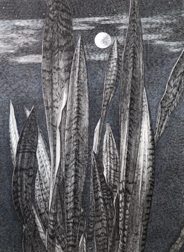 Moon and snakes by Chinatsu Seya