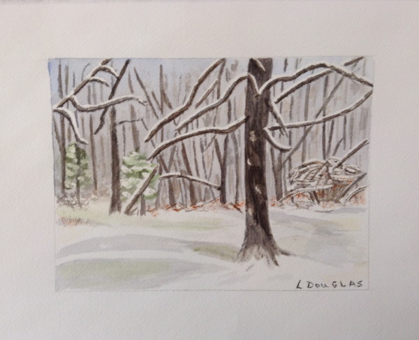 First Snow, Larch Tree by Louise Douglas