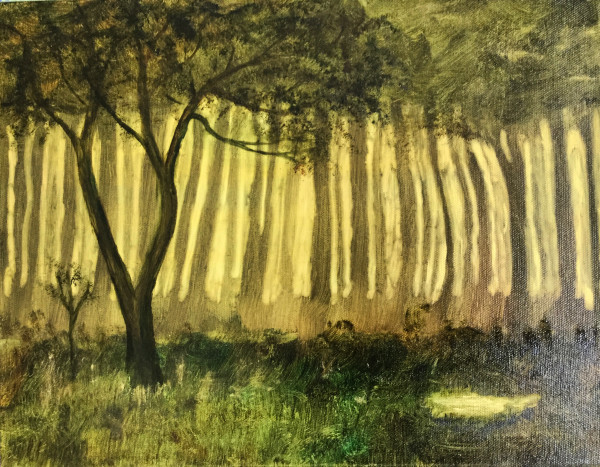 Forest V by Louise Douglas