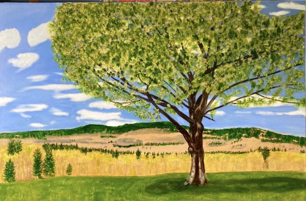One Tree by Louise Douglas