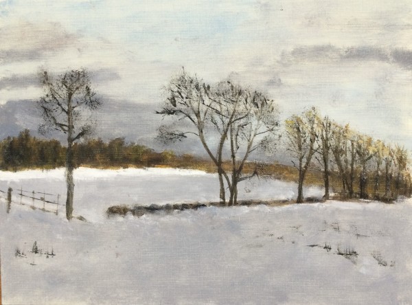 Winter Fences by Louise Douglas