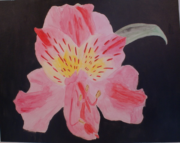 Single Pink Lily 1 by Louise Douglas