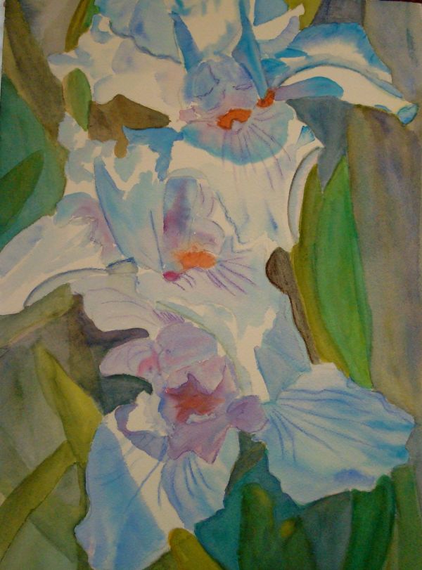 Blue Irises by Louise Douglas