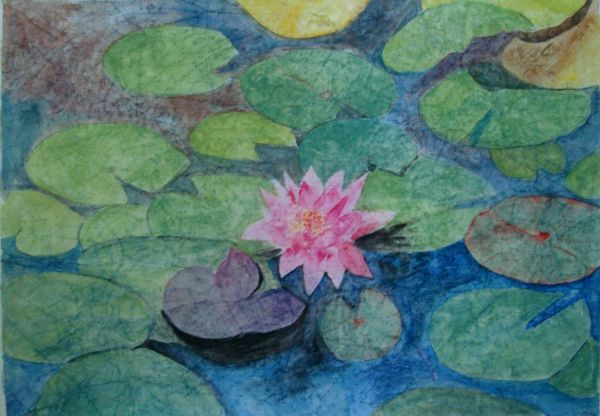 Waterlily 4 by Louise Douglas
