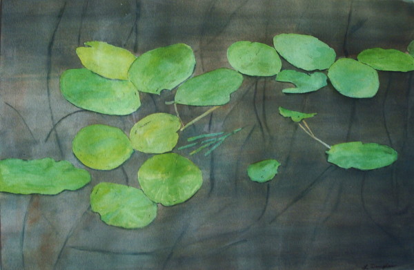 lily pads by Louise Douglas