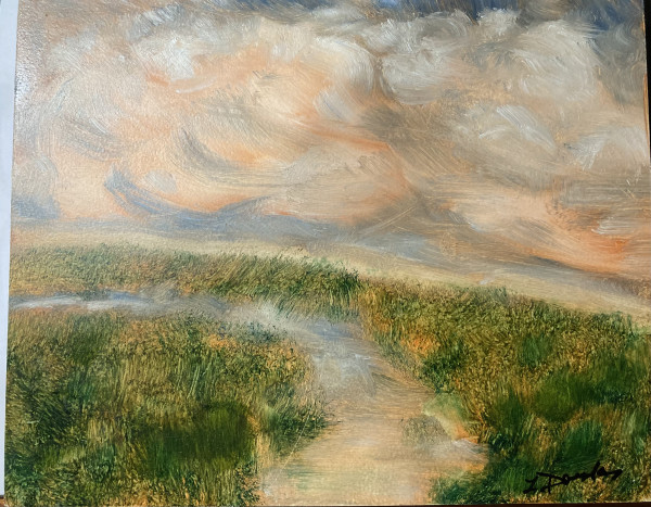 Marsh at Quaboag by Louise Douglas