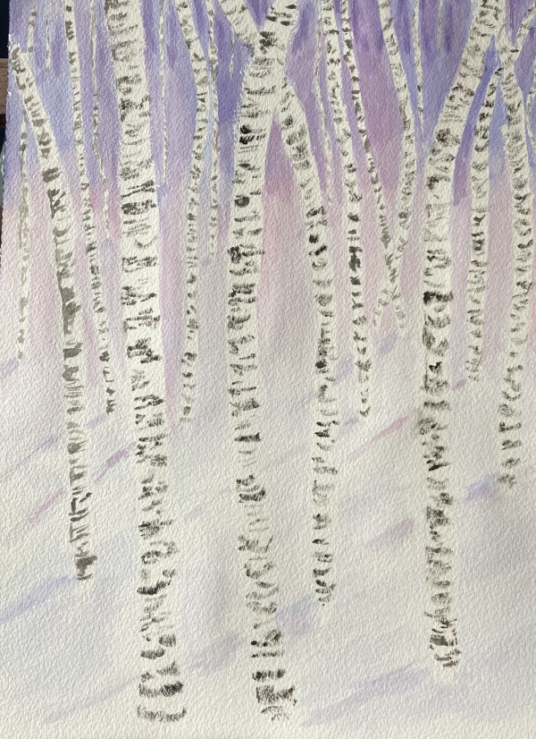 Birches by Louise Douglas