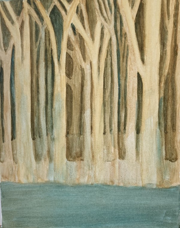 Tom's Tree by Louise Douglas