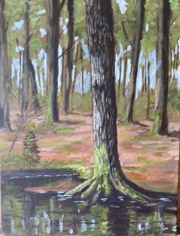 Forest Water by Louise Douglas