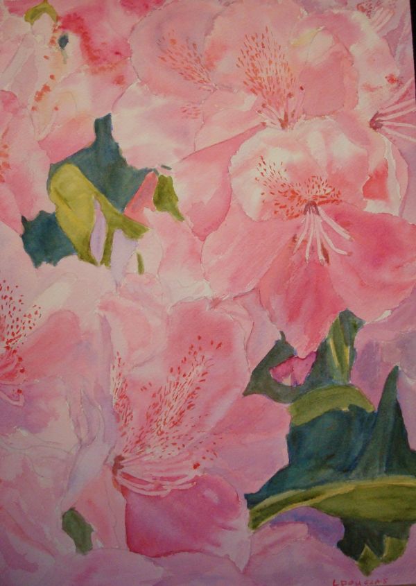 Rhododendrons 2 by Louise Douglas