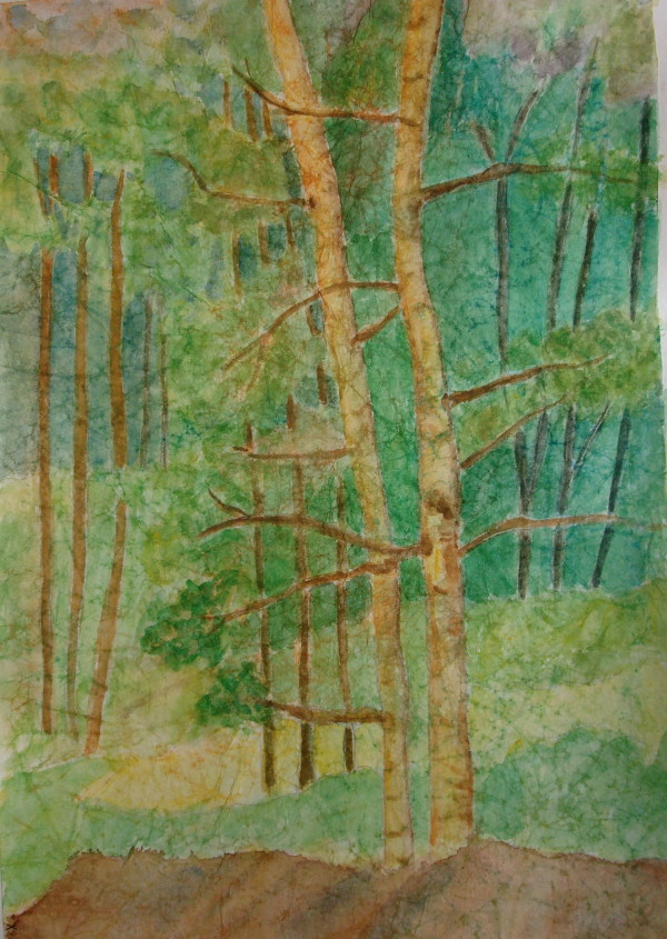 Forest by Louise Douglas