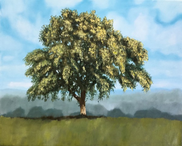 Green Tree by Louise Douglas