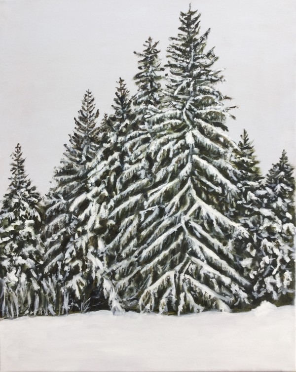 Winter Evergreens by Louise Douglas