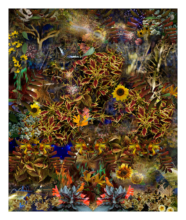 There is Another Sky by LISA  A.  FRANK, Image 1.