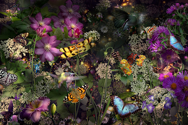 A Living Flash of Light by LISA  A.  FRANK, Image 2.