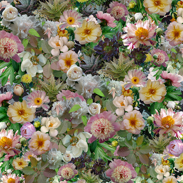 Peonies Breaking Pattern by LISA  A.  FRANK, Image 2.