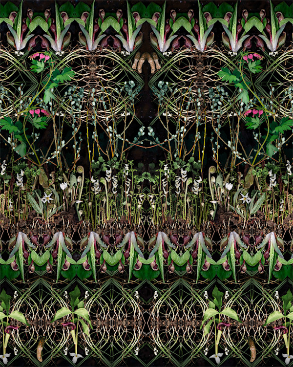 "These, I, Singing in Spring Collect for Lovers" by LISA  A.  FRANK, Image 1.