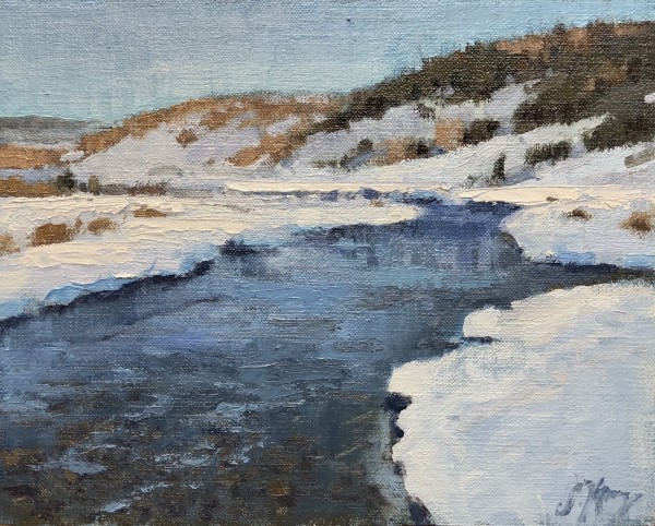 Bluebird by Shanna Kunz