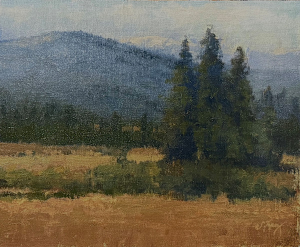 A Stand Of Pines by Shanna Kunz