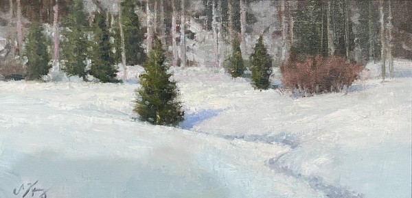 Snow Patterns by Shanna Kunz