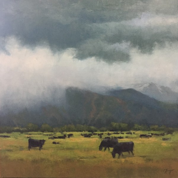 Storm Over Spring Creek by Shanna Kunz