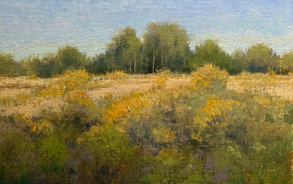 Chamisa Demo by Shanna Kunz, Image 1.