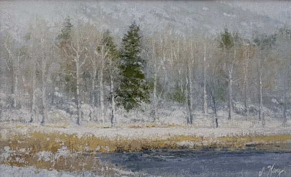 Fresh Fallen Snow by Shanna Kunz