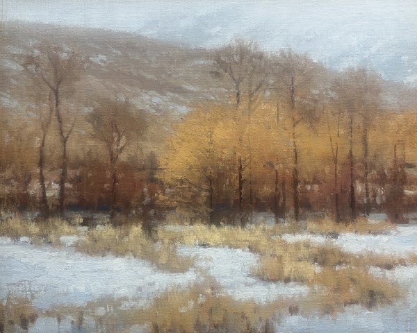 Commission piece by Shanna Kunz