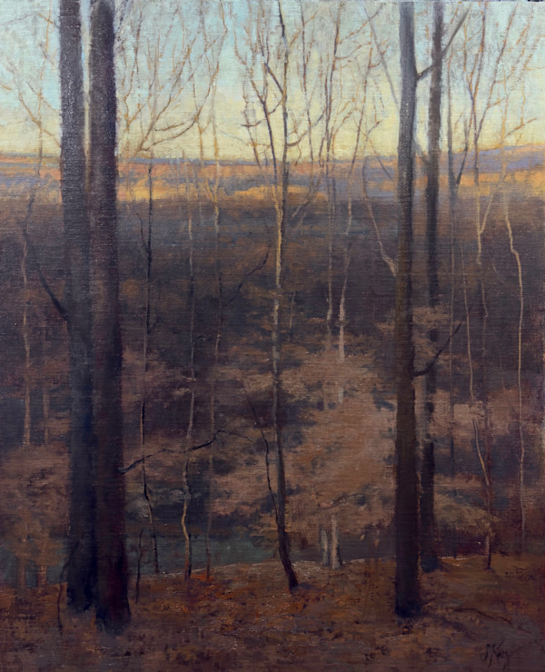 Last Light by Shanna Kunz
