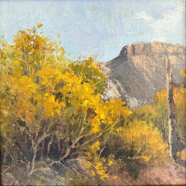 Grafton Chamisa by Shanna Kunz